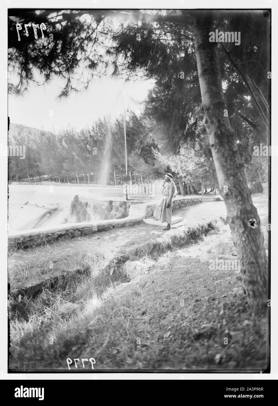 Les piscines de Salomon & ancient aqueducs. Dans la pinède à l'extrémité supérieure de la piscine. Banque D'Images