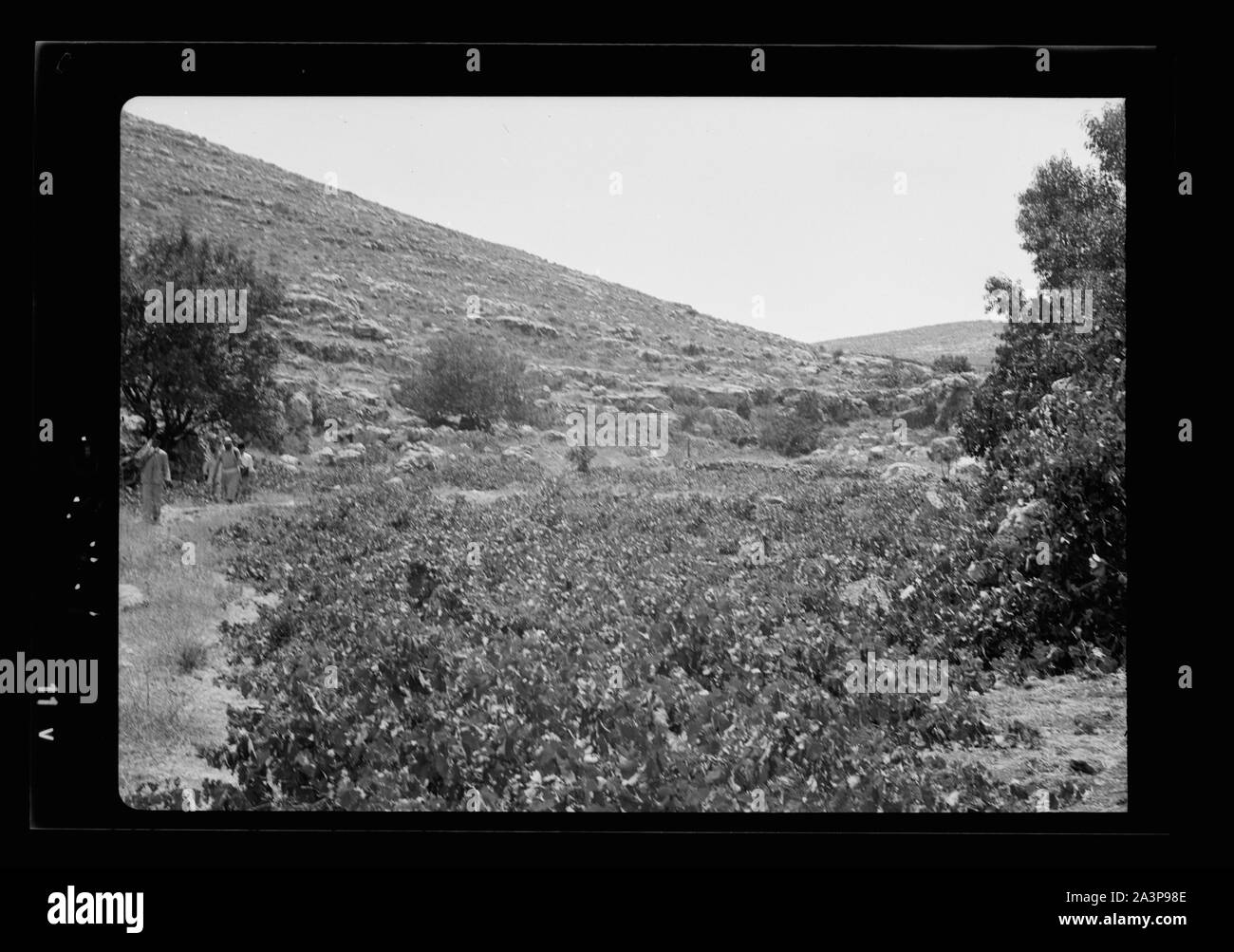 Solomon's Piscines & aqueducs Banque D'Images