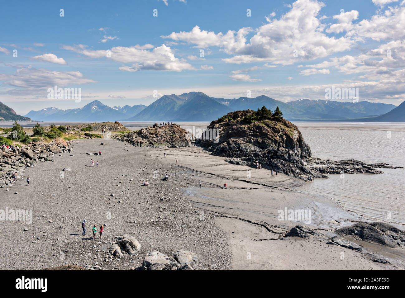 Les visiteurs l'alésage de marée Point béluga le long du Turnagain Arm à l'extérieur d'Anchorage, en Alaska. Banque D'Images