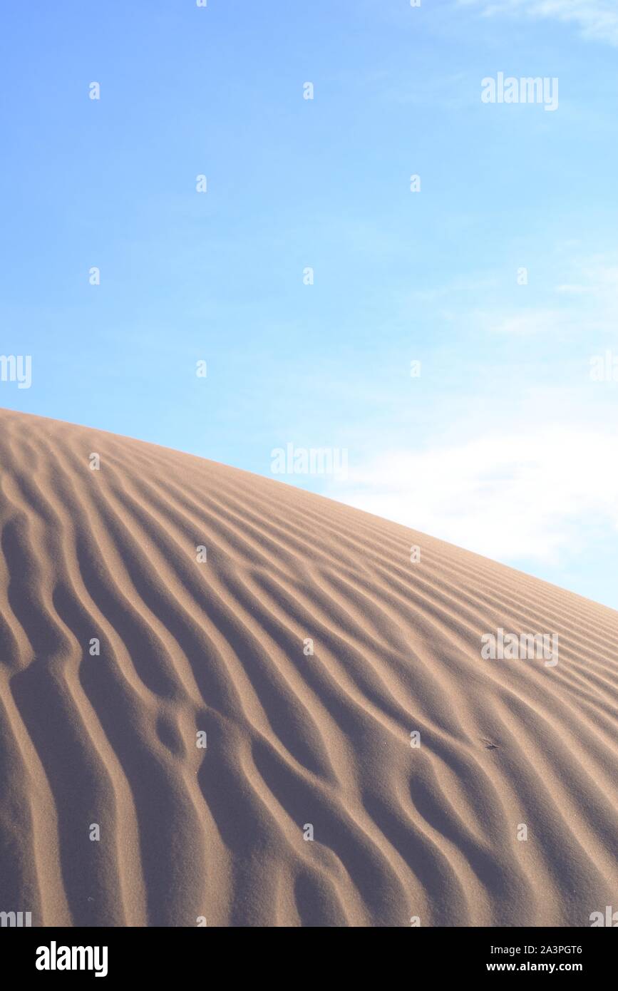 Dunes de sable et les ondulations dans le désert sur une journée ensoleillée, claire Banque D'Images