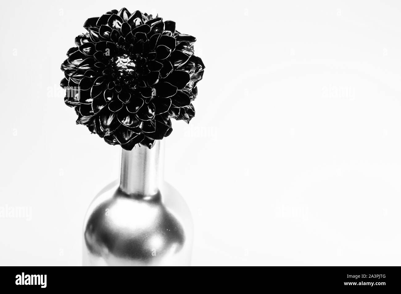 Beauté grunge isolé sur blanc. la richesse et la richesse floristique. entreprise. Éléments de décoration pour Noël. luxe et succès. en métal décor antique. noir en argent fleur de chrysanthème bouteille. Banque D'Images