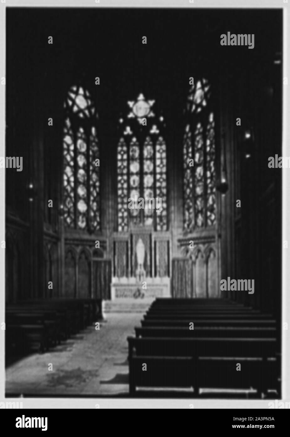 La Cathédrale St Patrick, Dame de la chapelle. Banque D'Images