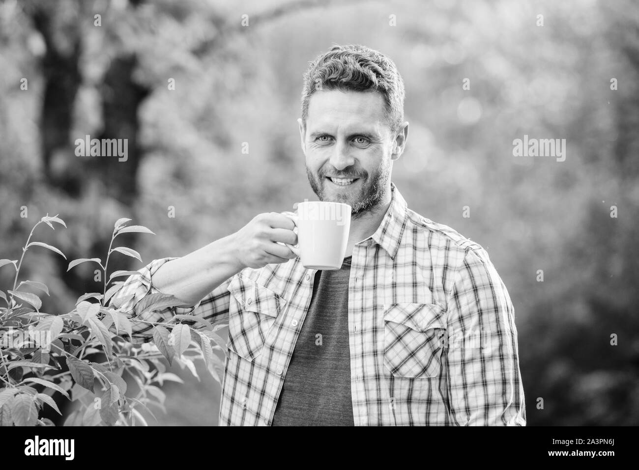 Plantation de thé vert. Toute la feuille de thé. Excellent goût. Profitez de boissons chaudes. Boisson naturelle. Mode de vie sain. Je préfère le thé vert. Boisson rafraîchissante. Plateau barbu homme agriculteur tenir mug fond nature. Banque D'Images