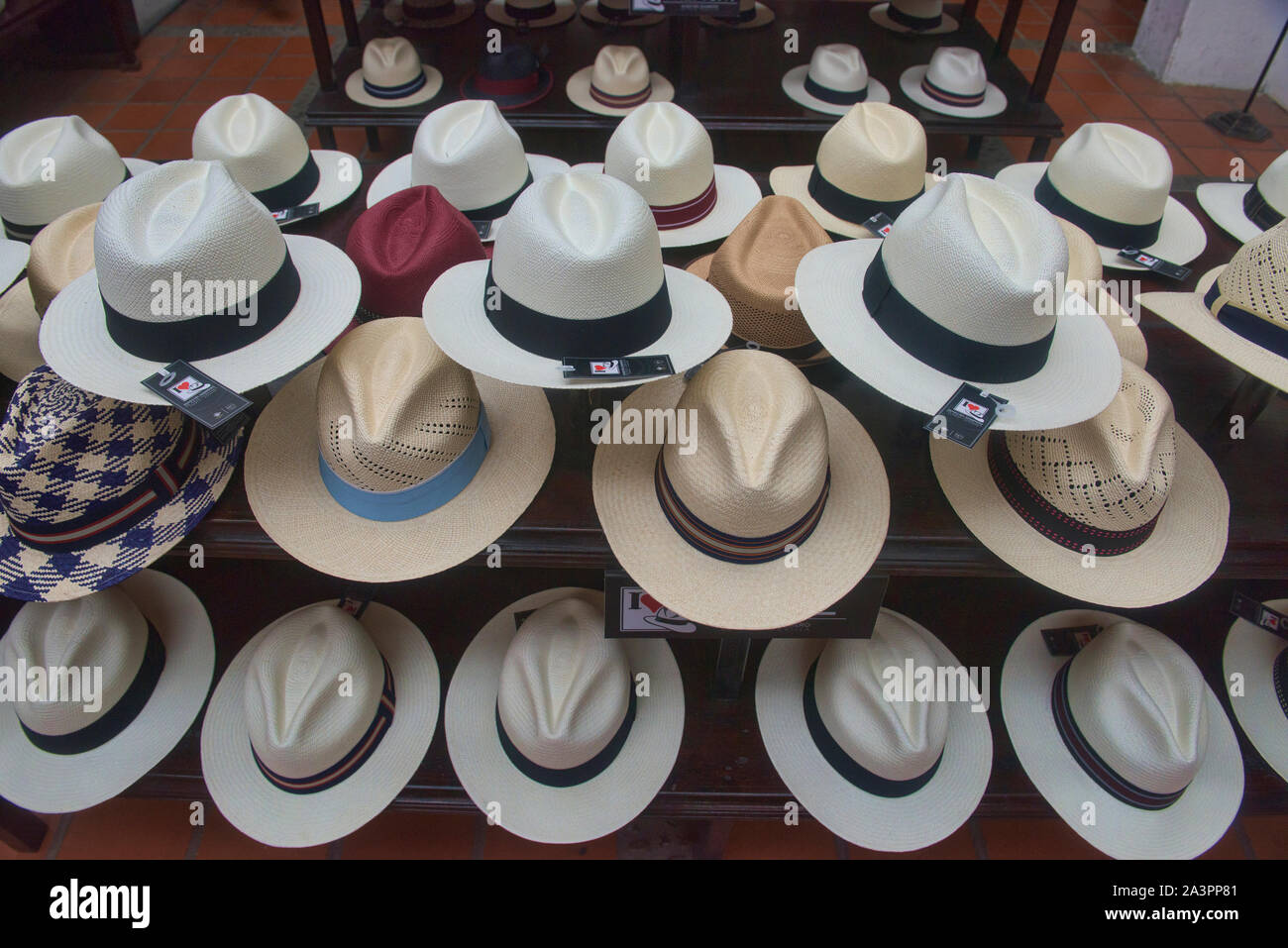 Chapeaux Panama traditionnels (paja toquilla), qui vient en fait d'Équateur  Photo Stock - Alamy