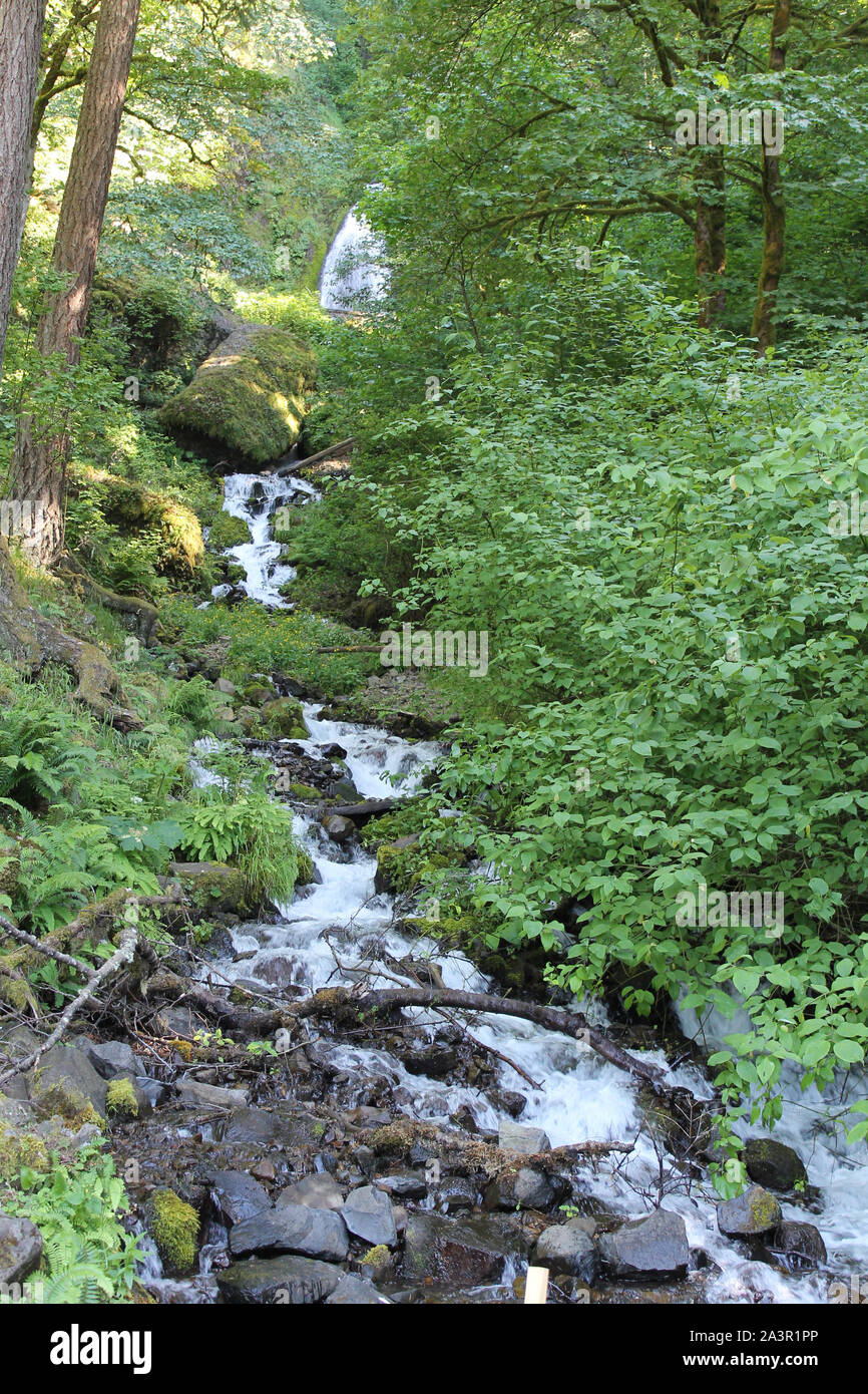 Rocky flux sur leur façon de Multnomah Falls, Oregon Banque D'Images