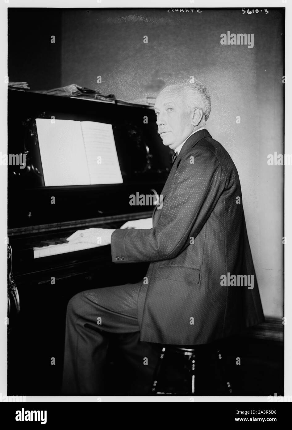 Strauss Banque D'Images