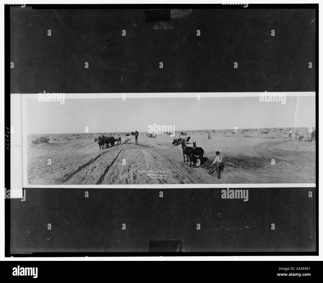 Maîtriser le désert, Imperial Valley, California Banque D'Images