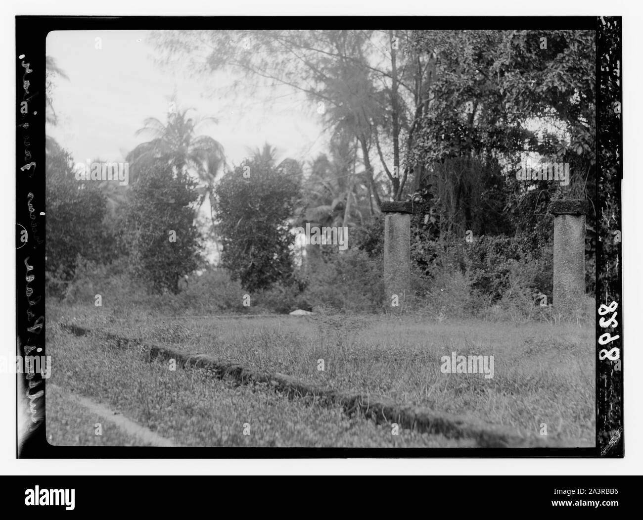 Ruines du palais du Sultan de Zanzibar. Banque D'Images