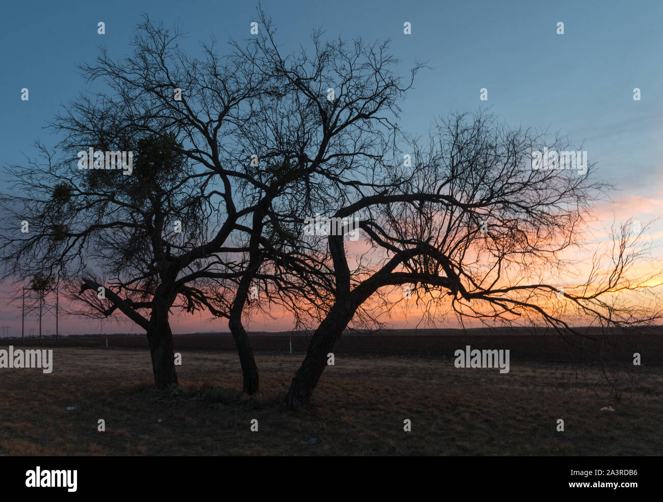 Coucher du soleil en milieu rural scène Tom Green County, Texas, au nord-est de San Angelo Banque D'Images