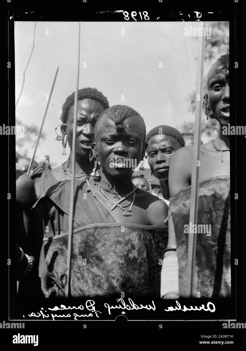 Tanganyika. Arusha. Guerriers Masai avec leurs lances brillantes au mariage. Close up, demi-figures Banque D'Images