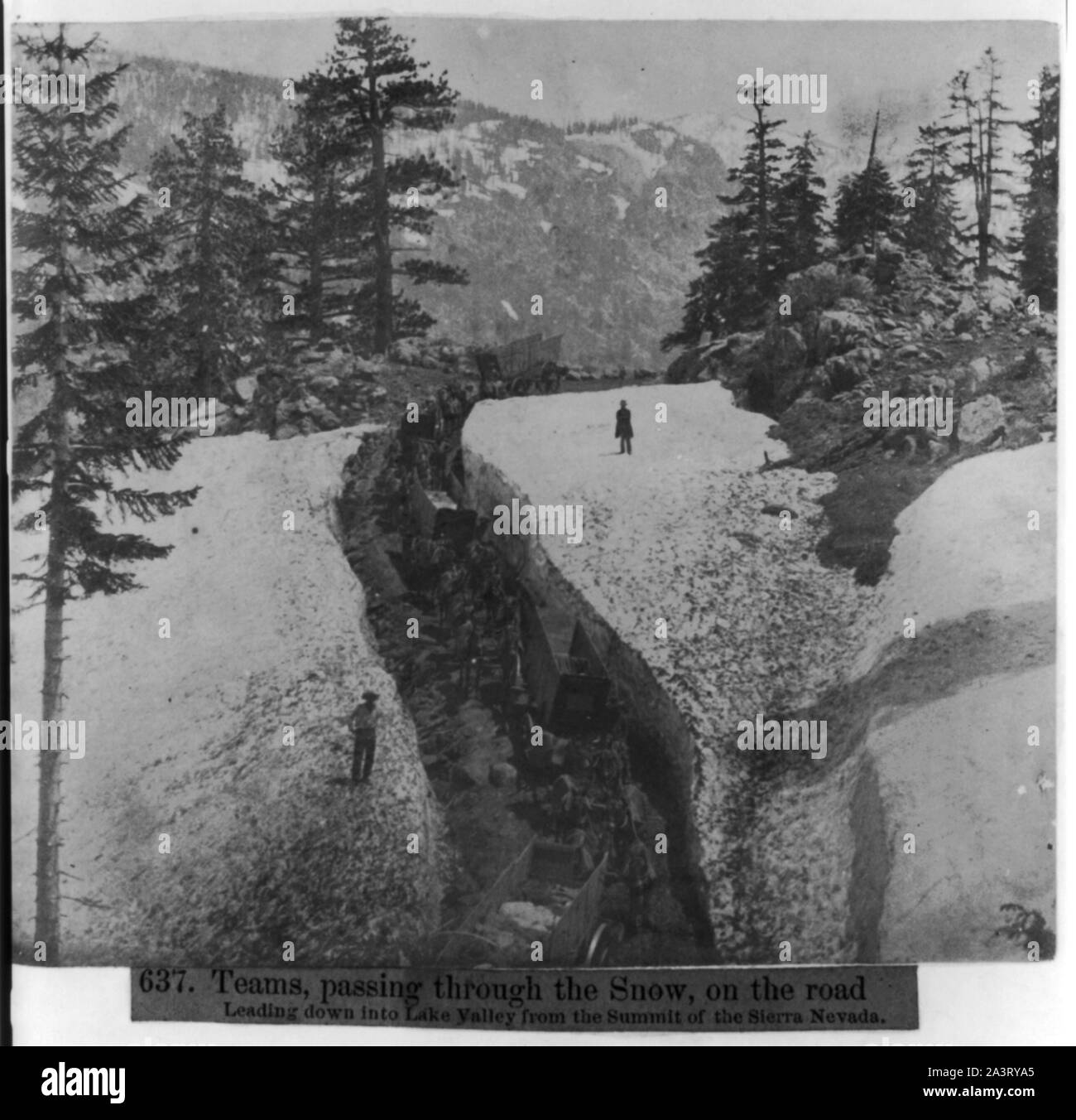 Equipes en passant par la neige, sur la route menant vers le bas dans la Vallée des Lacs depuis le sommet de la Sierra Nevada Banque D'Images