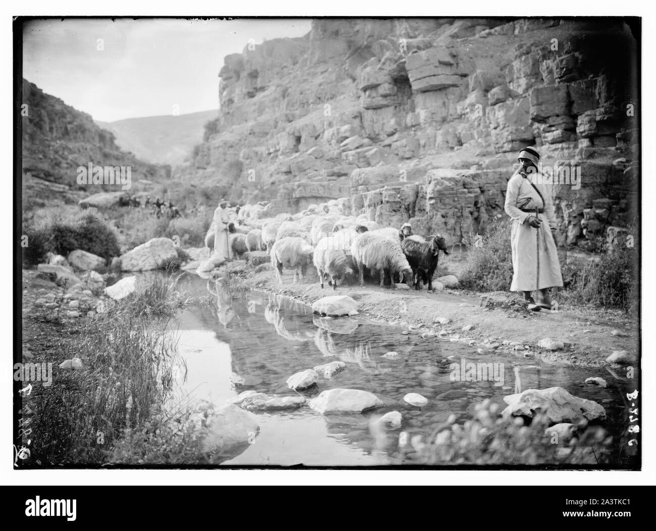 Le Psaume 23 Banque D'Images