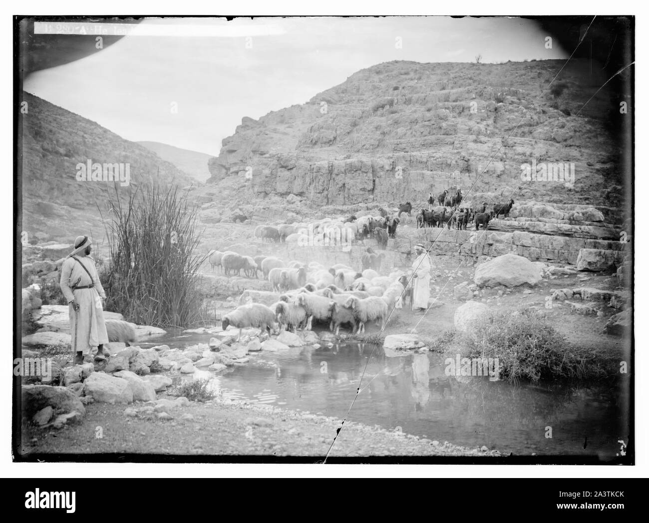 Le Psaume 23 Banque D'Images