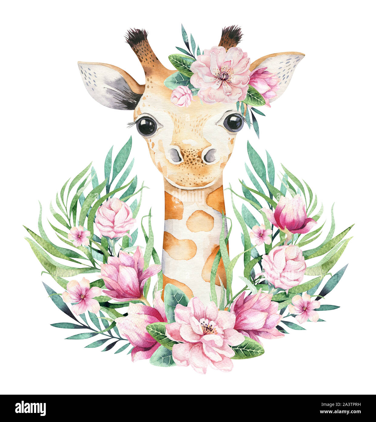 Une Affiche Avec Un Bebe Girafe Aquarelle Caricature Giraffetropical Illustration Des Animaux Conception D Ete Exotiques De La Jungle Photo Stock Alamy Une Affiche Avec Un Bebe Girafe Aquarelle Caricature Giraffetropical Illustration Des Animaux Conception D Ete Exotiques De La Jungle Photo Stock Alamy