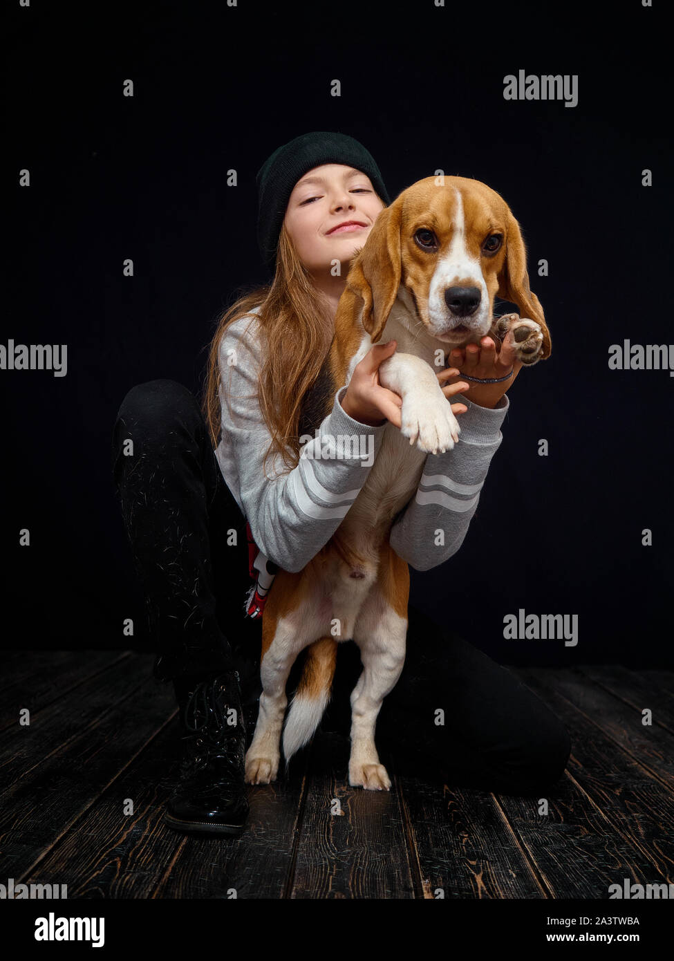 Une jeune fille rousse de 10 ans joue avec un chiot beagle assis sur un parquet en bois sombre en face d'un fond noir. Banque D'Images