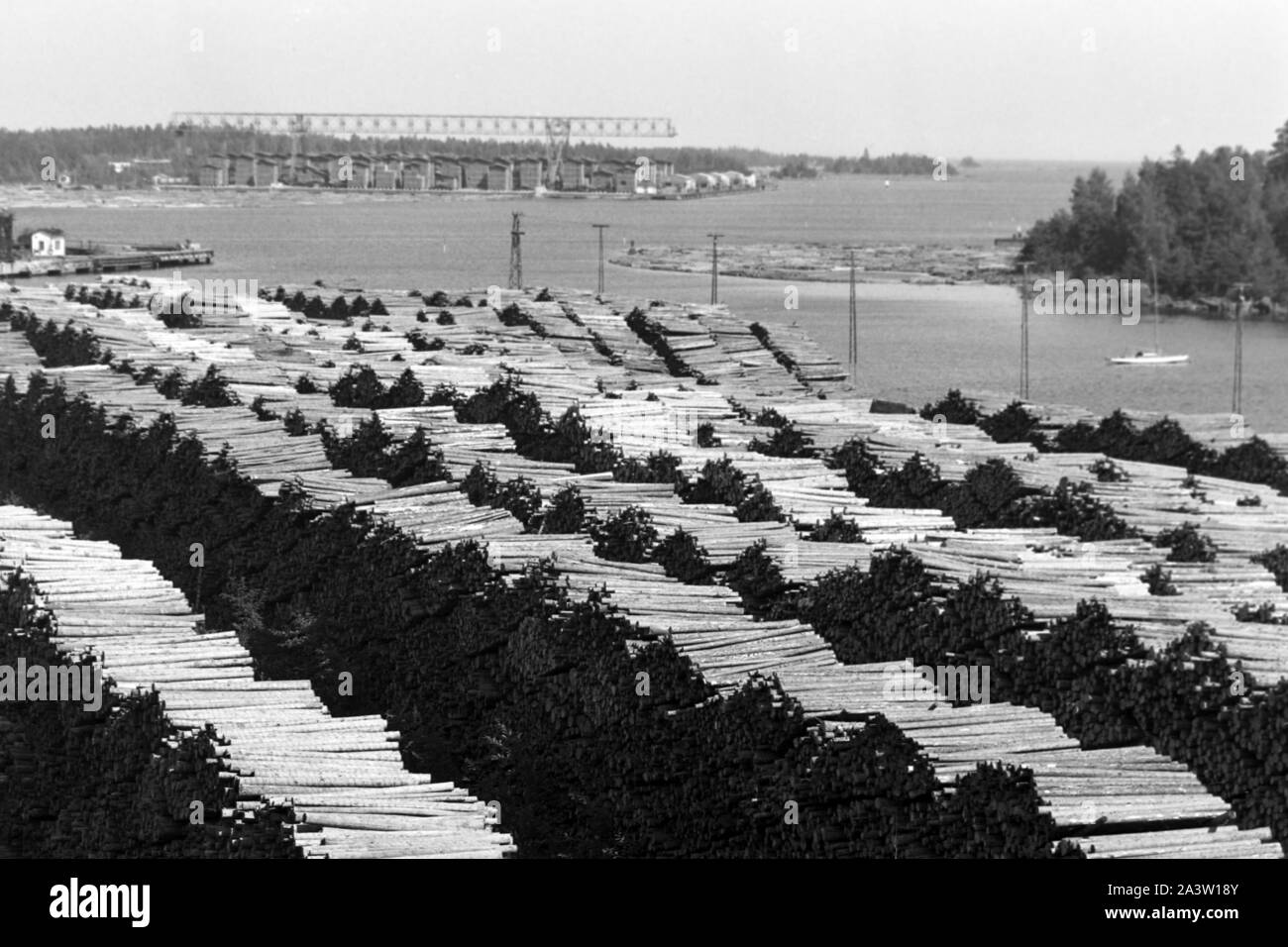 Holzumschlag am Strand von Norrsundet, Uppsala, Suède, 1969. Sur la plage de copeaux de Norrsundet, Uppsala, Suède, 1969. Banque D'Images