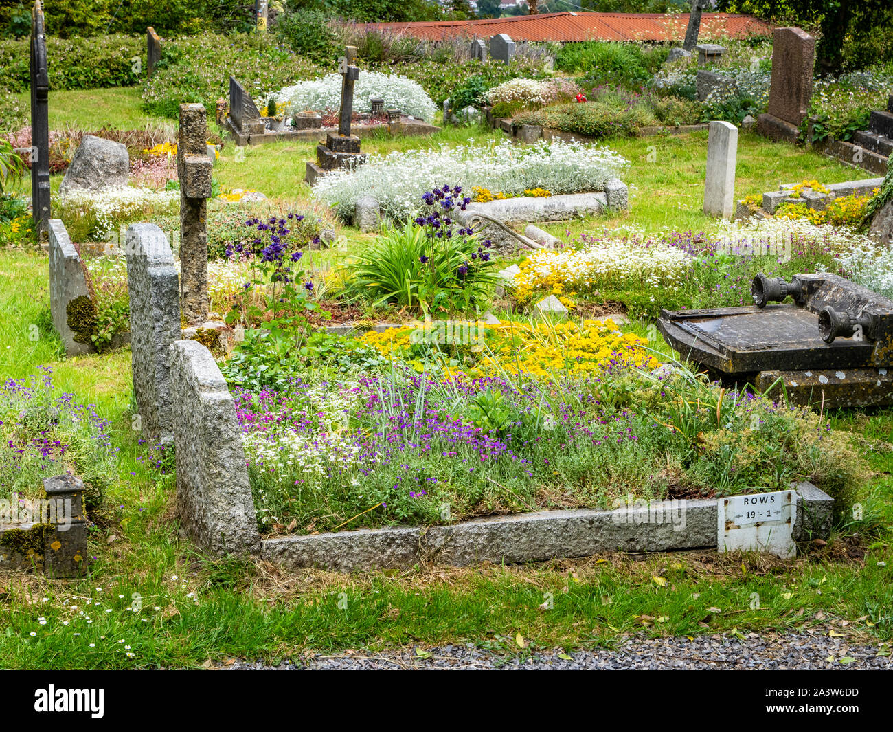 Cimetière planté de fleurs pour attirer les pollinisateurs tels que les abeilles et les papillons au St Michael's Parish Church Dundry village près de Bristol en Angleterre Somerset Banque D'Images