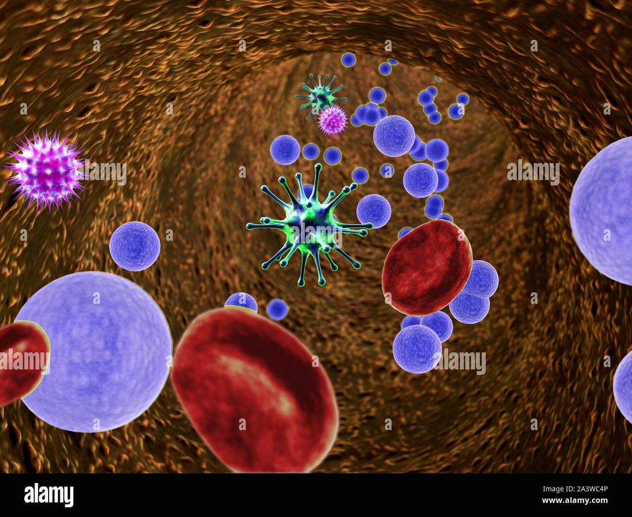 L'intérieur du vaisseau sanguin, les érythrocytes et les virus à l'intérieur du vaisseau sanguin, de haute qualité de rendu 3D de cellules du sang, les virus dans le corps humain Banque D'Images