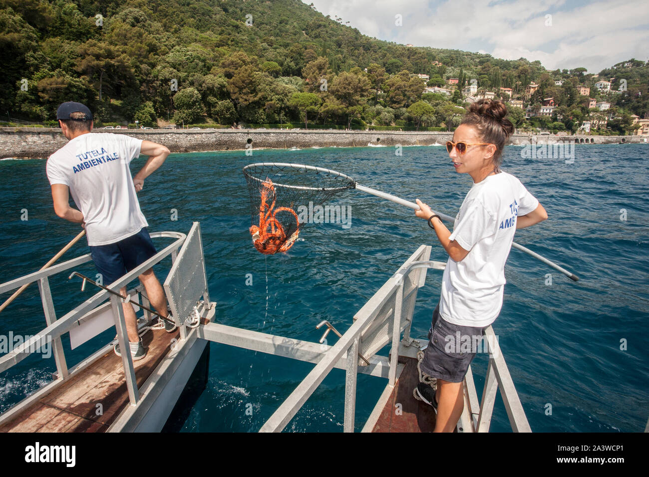 Servizio di pulizie del mare, dans la région de accordo con la onlus Guardia costiera ausiliaria, un'apposita imbarcazione raccoglie i rifiuti, sbarc galleggianti li Banque D'Images