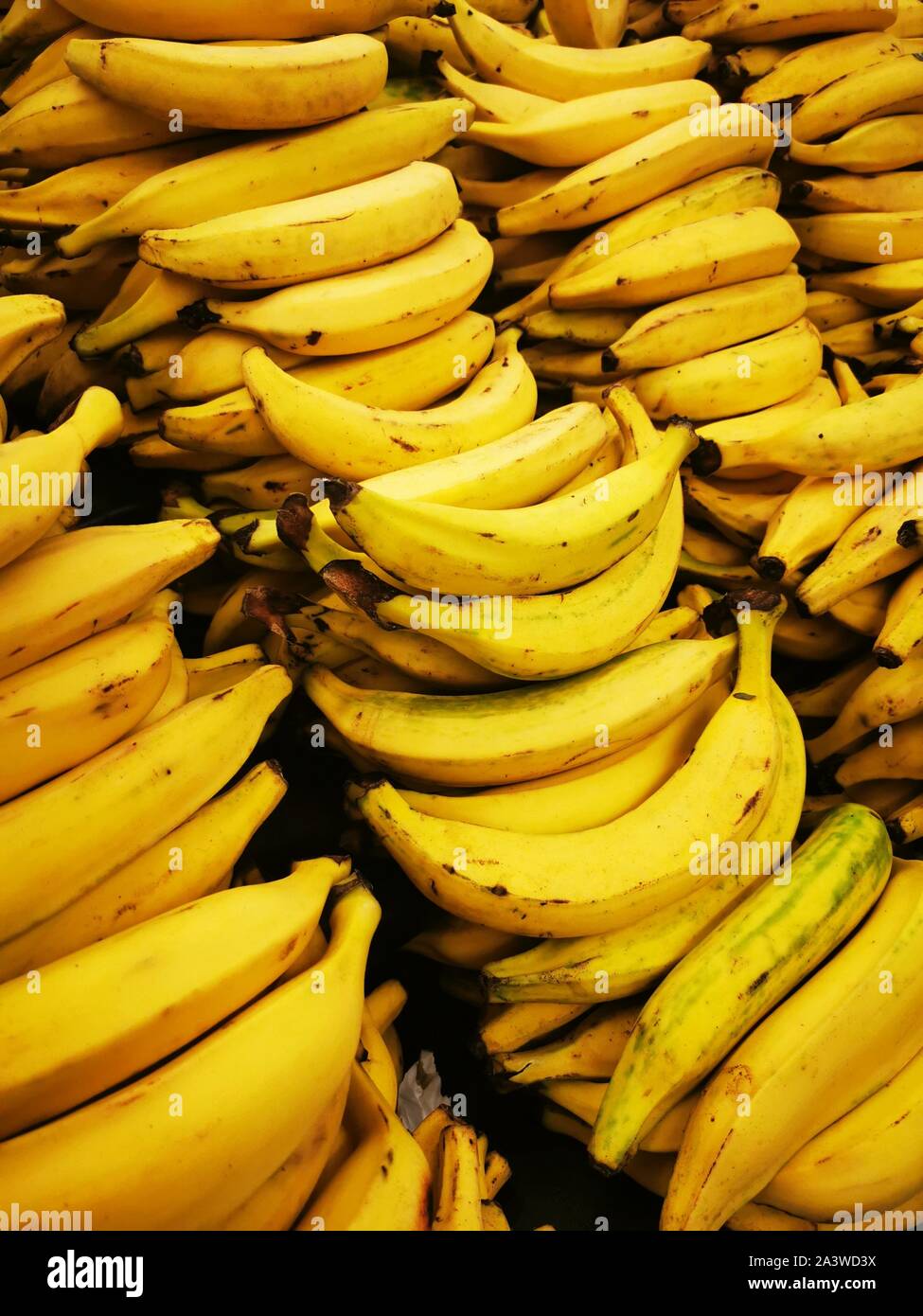 Des matières premières non OGM Régime de bananes organiques empilées prêt à manger Banque D'Images