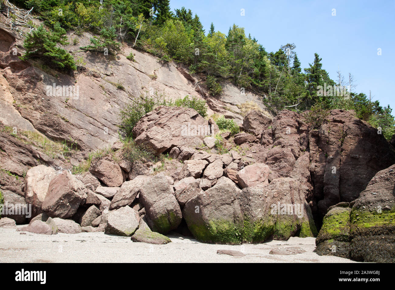 Le mur raide de roches érodées par les grandes marées dans le parc des rochers Hopewell Rocks, la destination touristique populaire au Nouveau-Brunswick (Canada). Banque D'Images