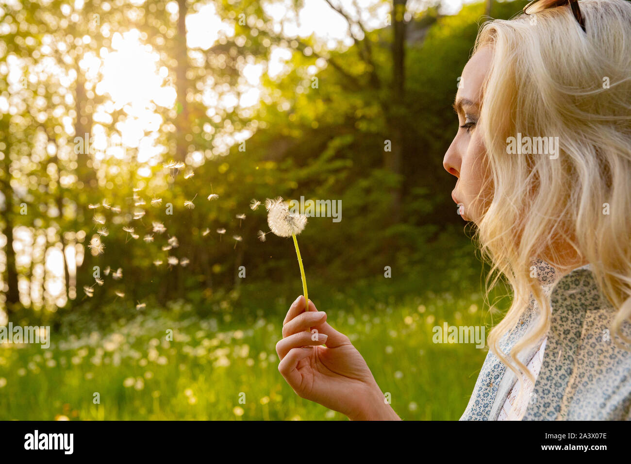 Gros plan du Young Woman Blowing Dandelion Seeds Banque D'Images