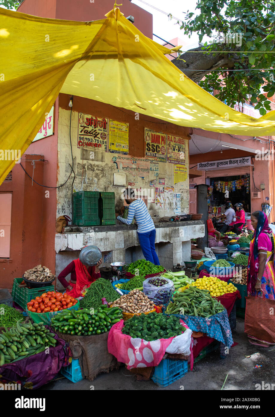 Marché de fruits et légumes, du Rajasthan, Jaipur, Inde Banque D'Images