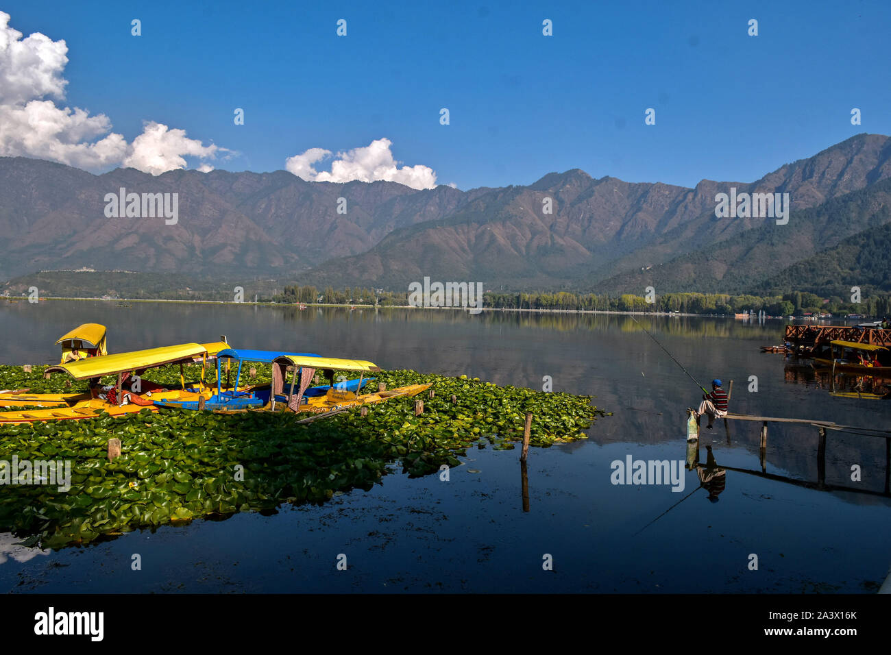 Un résident de la pêche sur le lac Dal pendant l'arrêt au Cachemire.vallée du Cachemire reste fermé pour le 67e jour consécutif à la suite de la suppression de l'article 370 par le gouvernement central qui accorde un statut spécial à Jammu-et-Cachemire. Cependant, les autorités affirment restrictions ont été assouplies dans la plupart des régions de la vallée du Cachemire. Banque D'Images