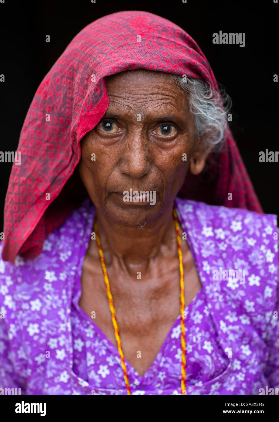 Portrait of a senior woman rajasthani en sari traditionnel, Rajasthan, Jaisalmer, Inde Banque D'Images