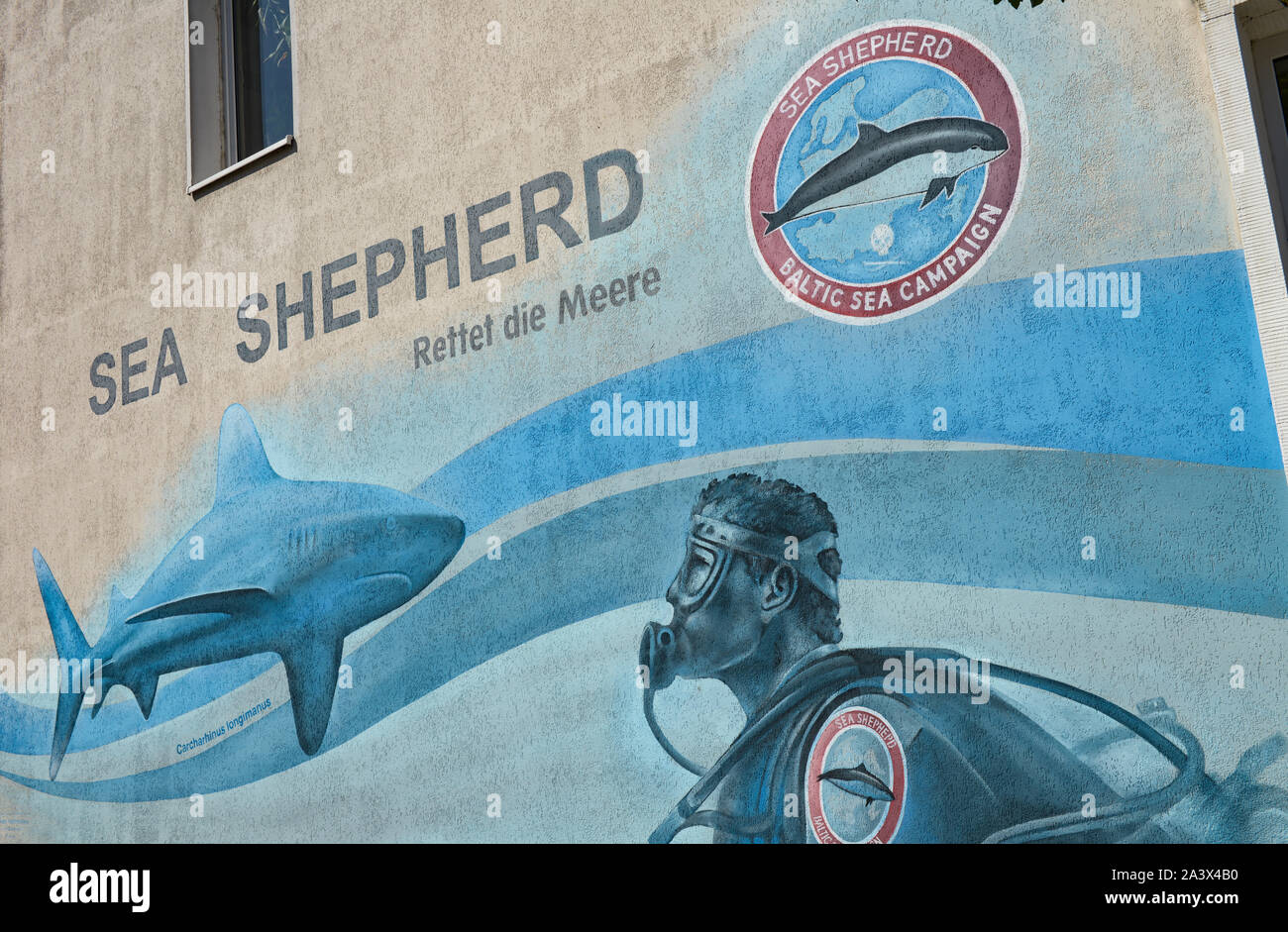 Sea Shepherd peinture murale dans la ville de Warnemunde Banque D'Images