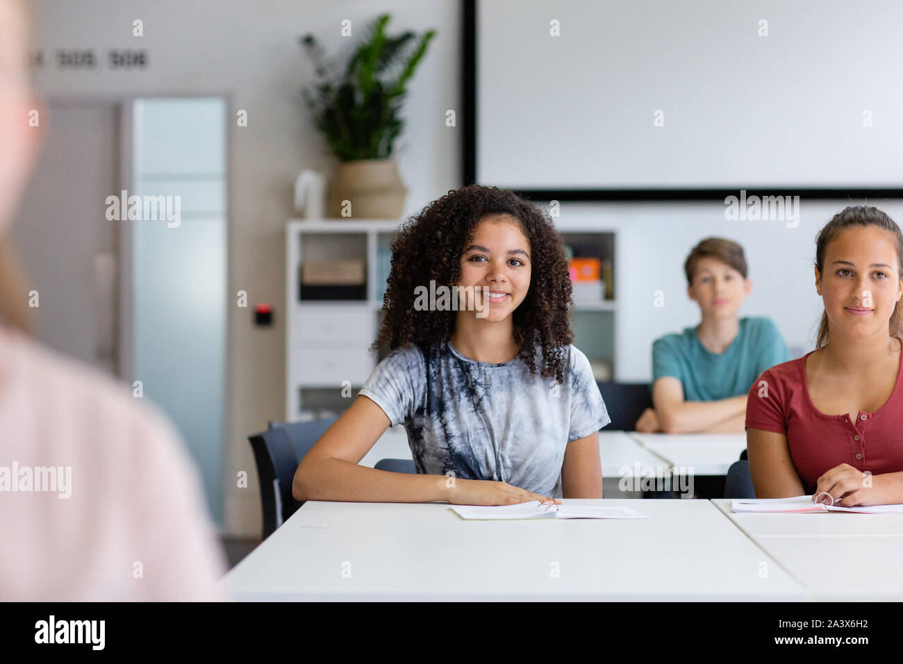 Portrait of female high school student in class Banque D'Images