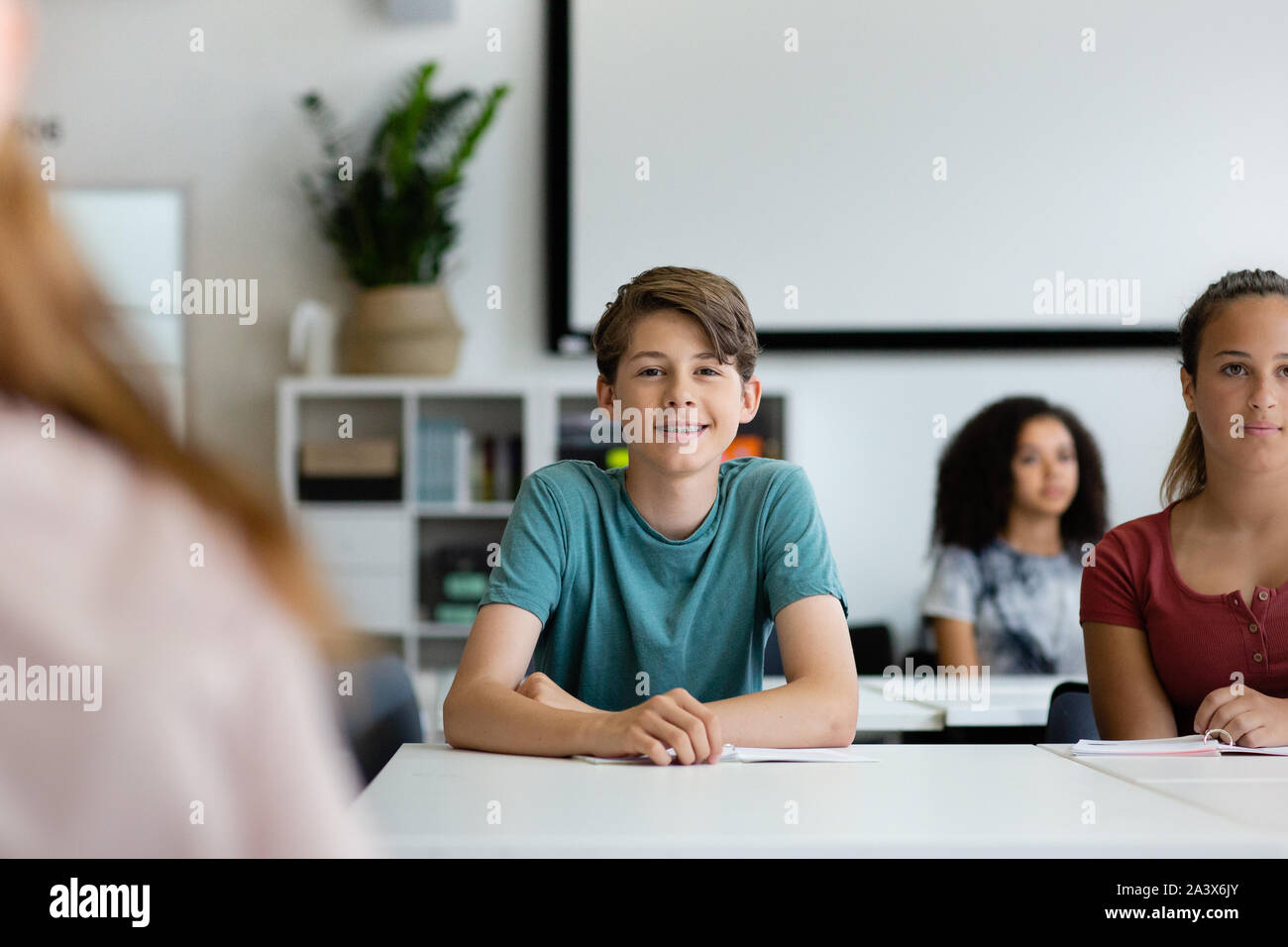 Portrait of male high school student in class Banque D'Images