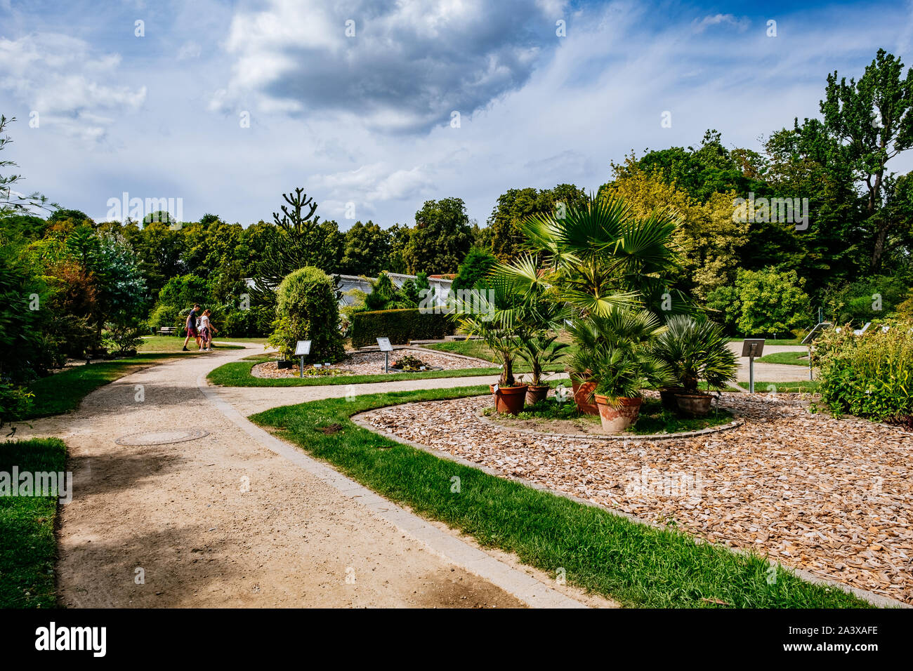 MÜNSTER/ALLEMAGNE - Août 2019 : Le jardin botanique dans le centre ville de Münster, près de WWU University Building Banque D'Images