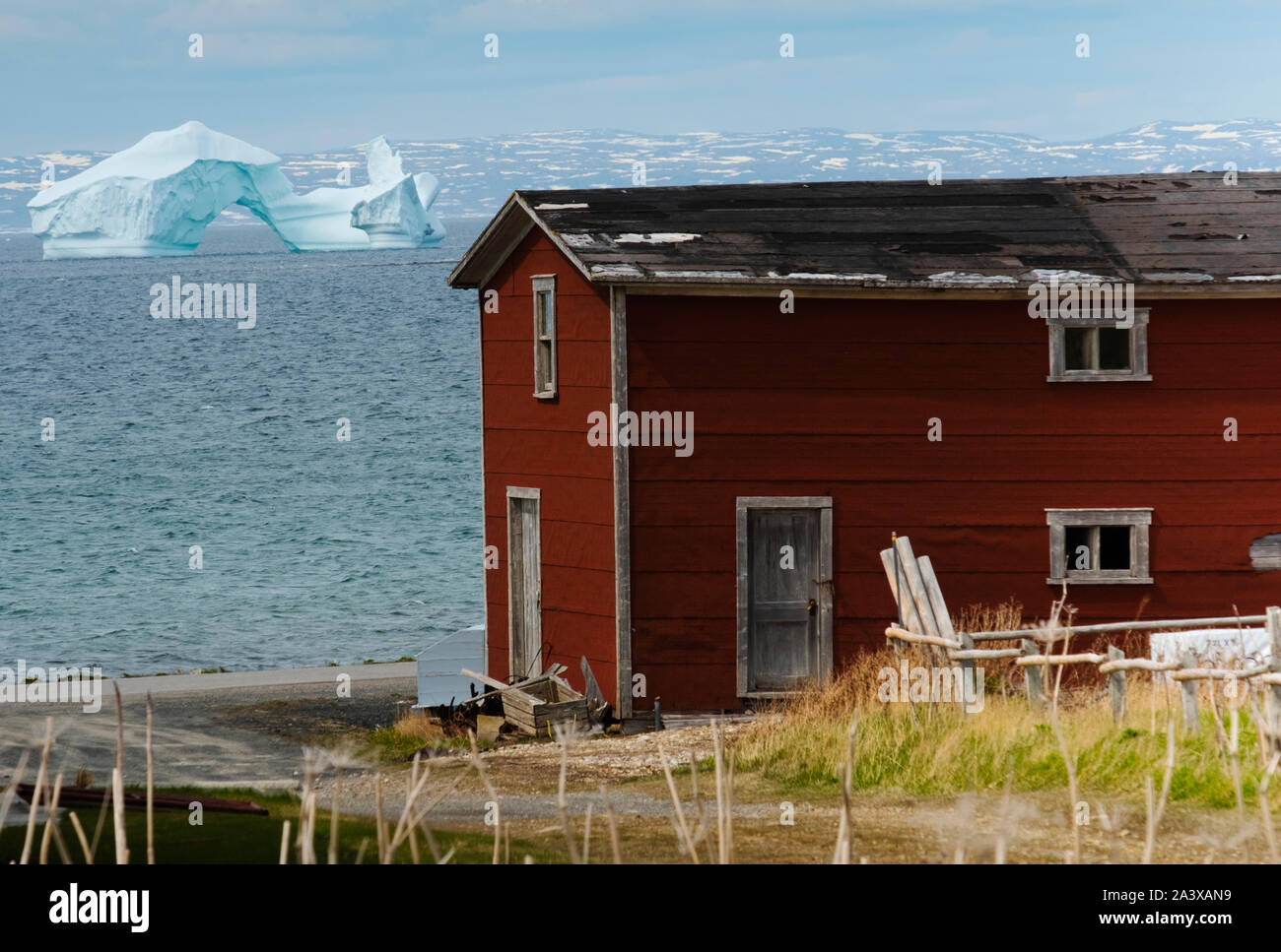 Iceberg à Green Island Cove avec grange rouge en premier plan, Terre-Neuve Banque D'Images