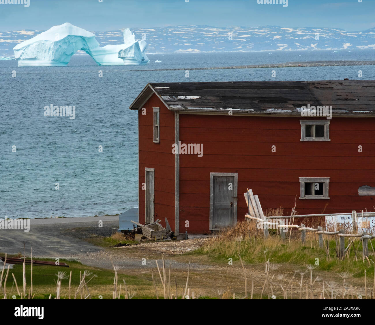 Iceberg à Green Island Cove avec grange rouge en premier plan, Terre-Neuve Banque D'Images