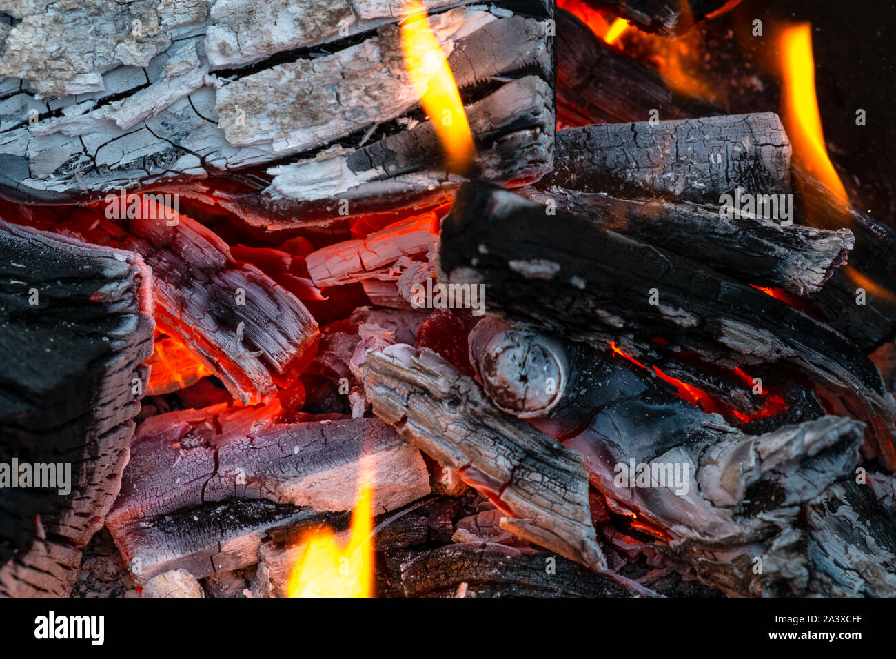 Libre de la combustion de bois de chauffage et de feu couvant