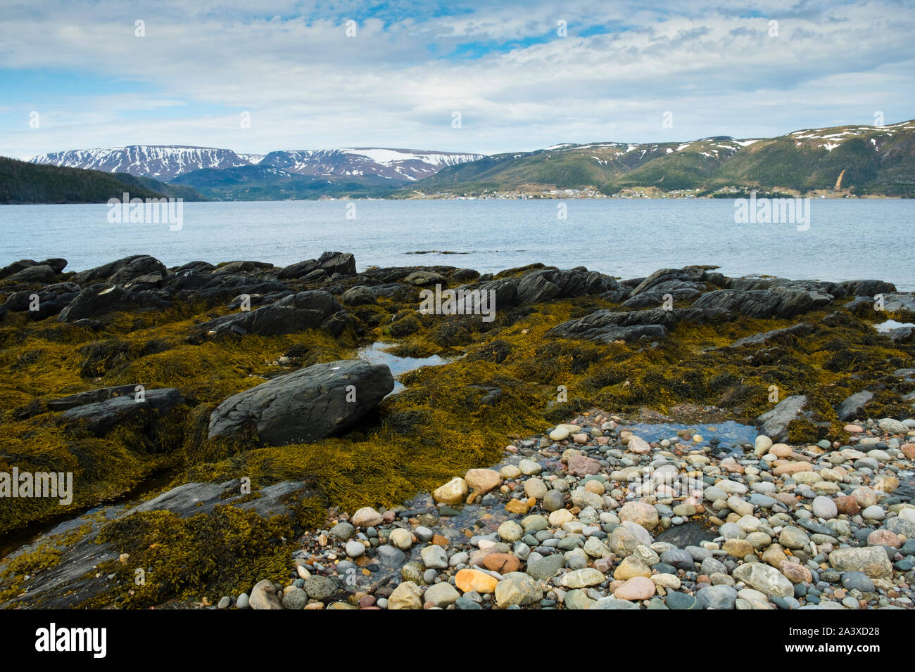 Plage de Norris Point avec vue sur le fjord des Tablelands et le parc national du Gros-Morne, à Terre-Neuve Banque D'Images