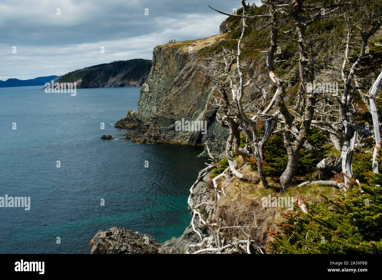 Les randonneurs sur une falaise au loin sur le sentier Skerwink, Newfoundland, Canada Banque D'Images