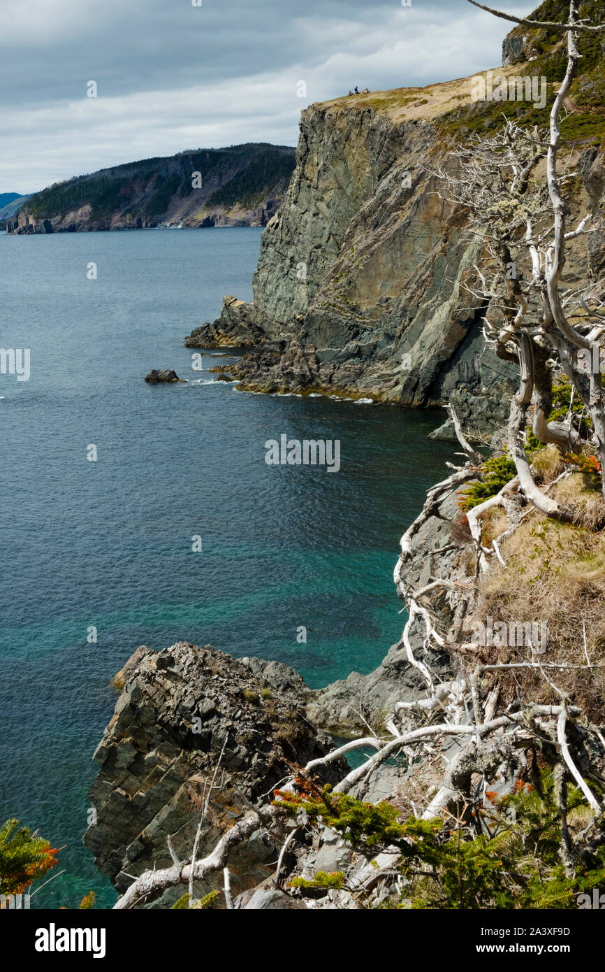 Les randonneurs sur une falaise au loin sur le sentier Skerwink, Newfoundland, Canada Banque D'Images