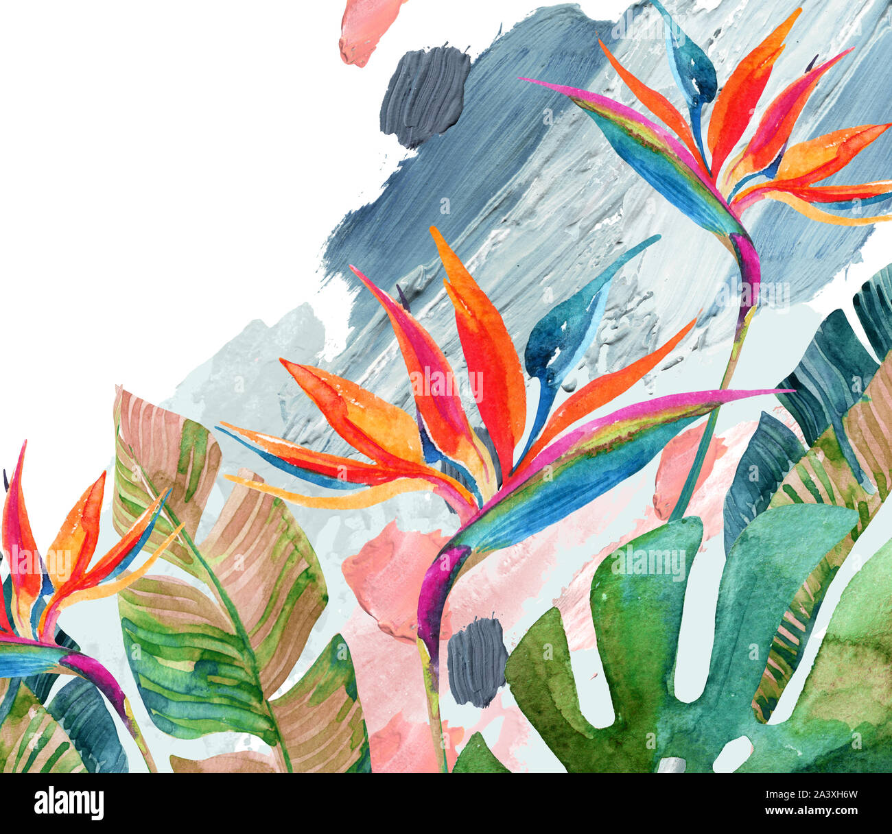 Aquarelle Tropical bird-of-paradise fleur et feuilles tropicales sur les traits de pinceau de l'arrière-plan. Fleurs aquarelle colorée sur l'acrylique blots textur Banque D'Images