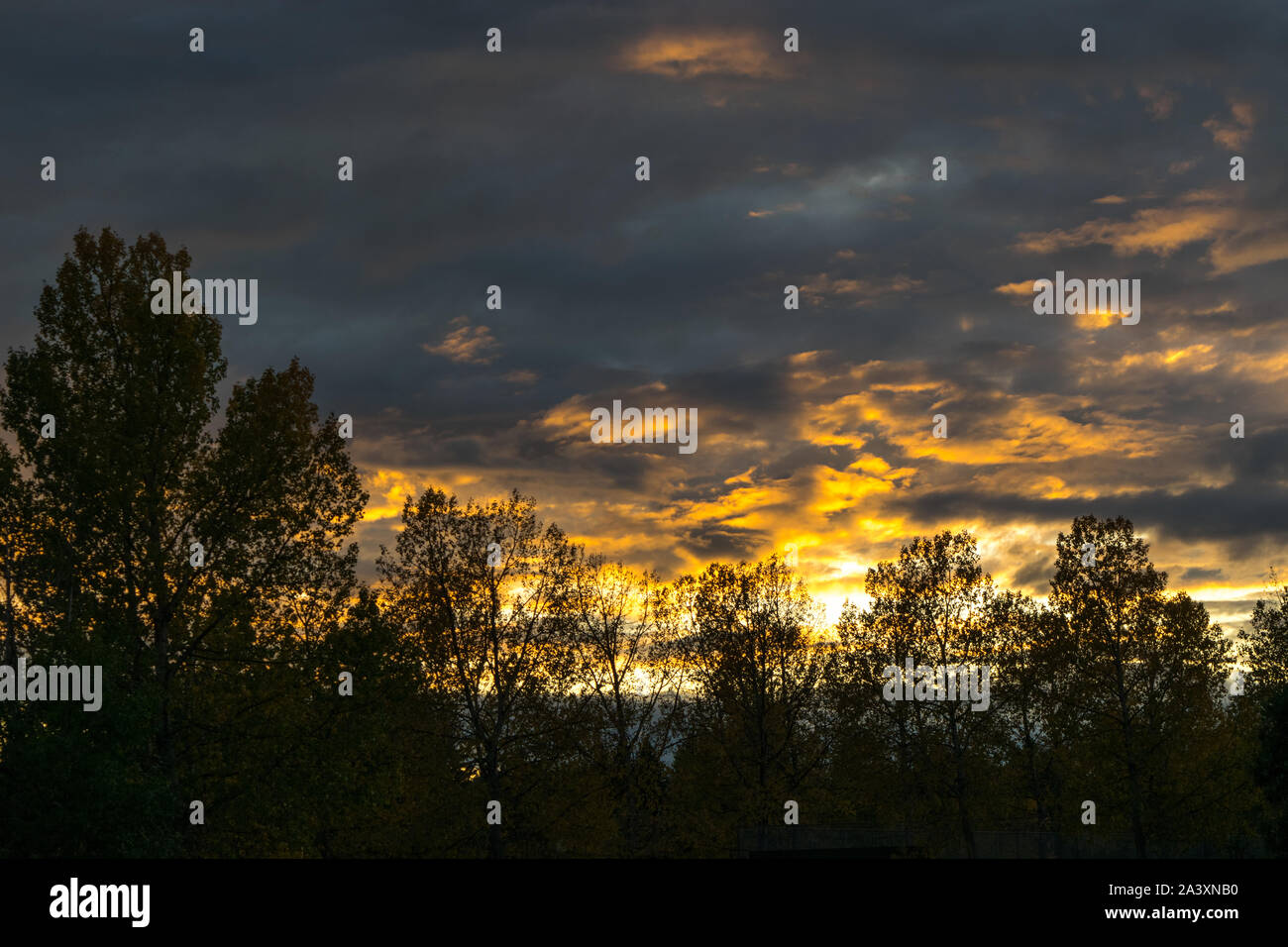 Ciel du soir Banque D'Images