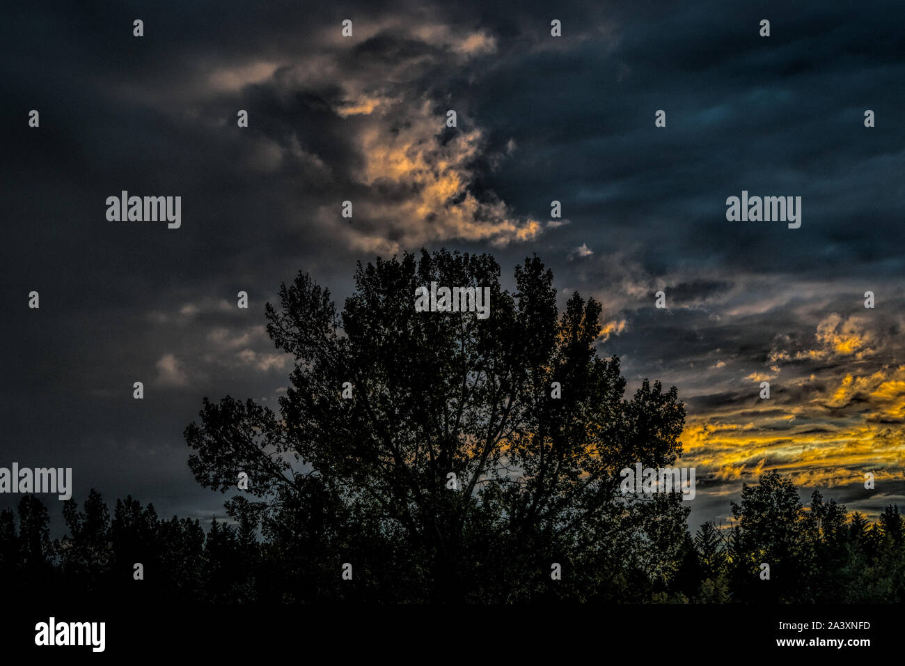 Ciel du soir Banque D'Images