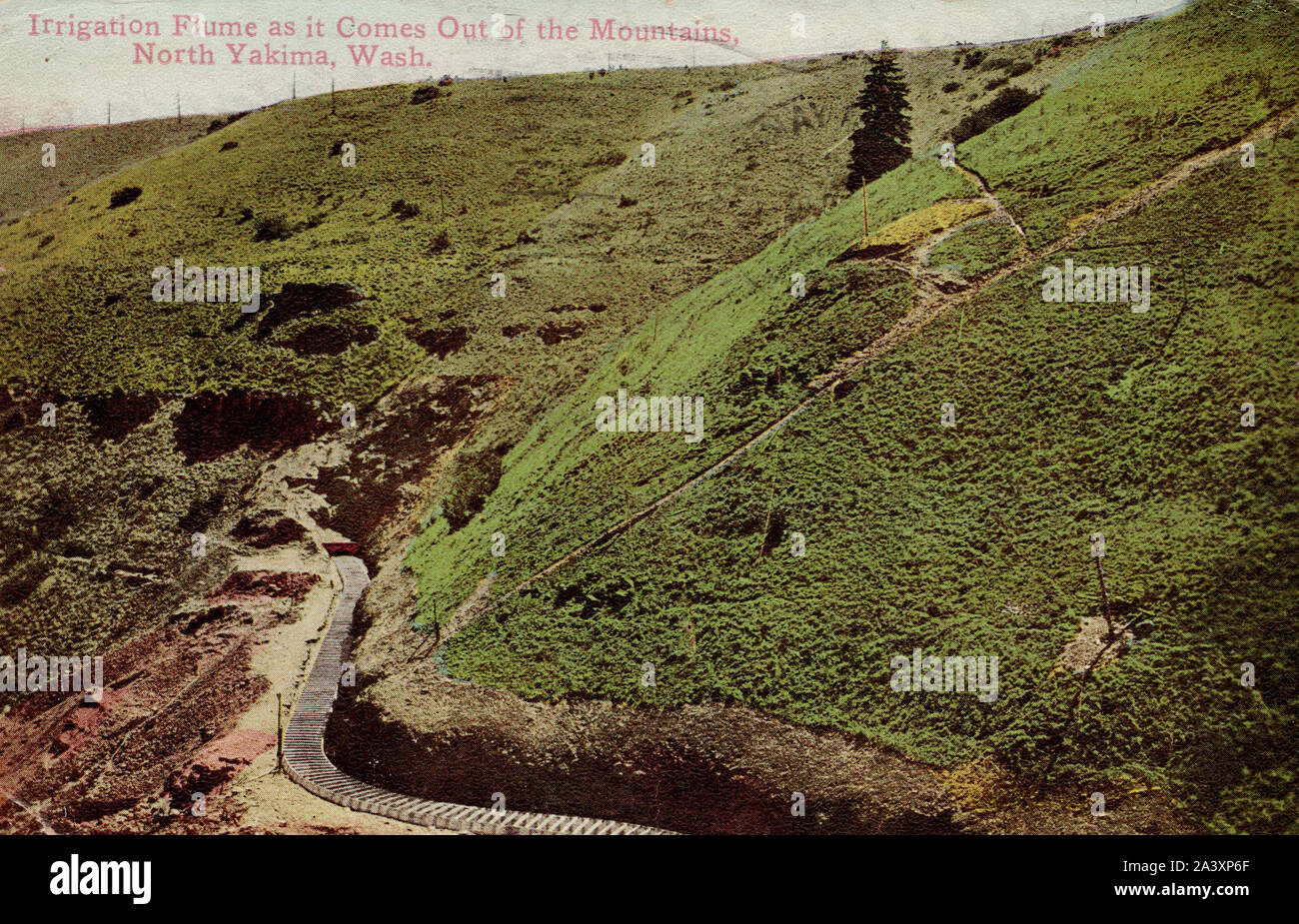 North Yakima WA, Canal d'irrigation, c1913 vieille carte postale. Banque D'Images