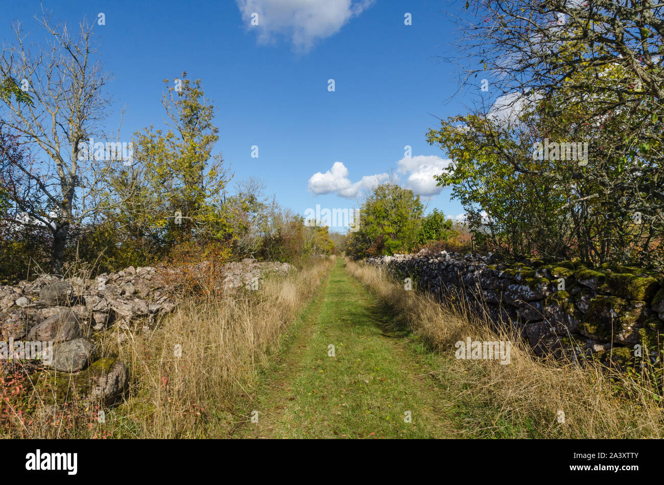 Tout droit sentier vert entouré de vieux murs de pierres sèches Banque D'Images