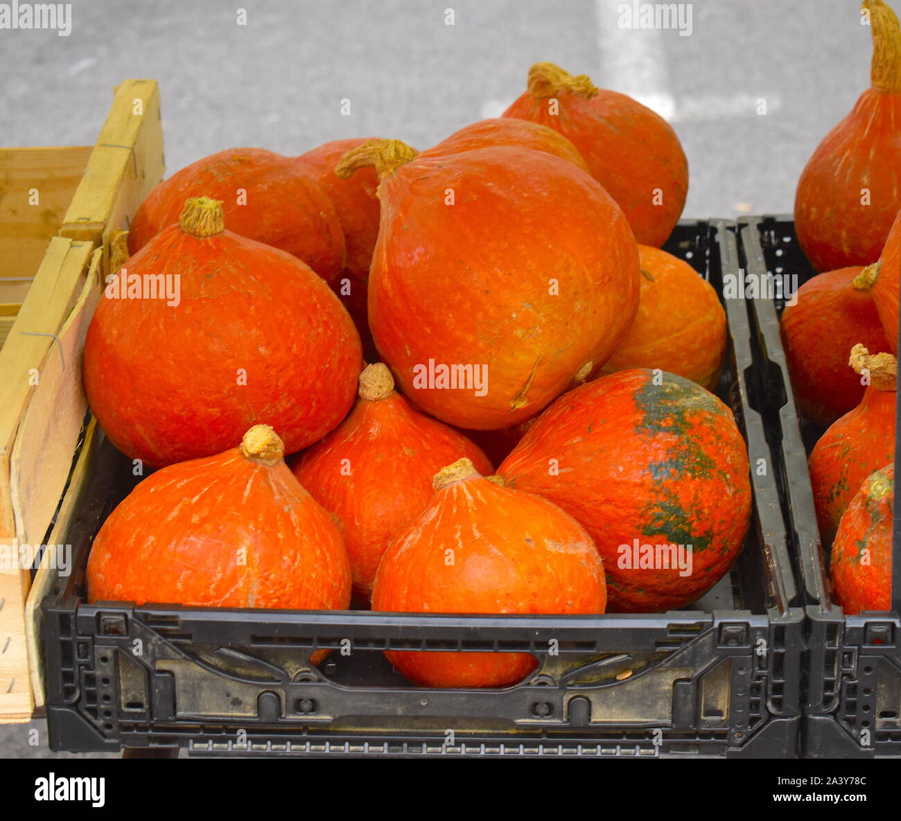 Pile de taille moyenne, orange vif hamburgers à vendre en Europe. Produits locaux sur l'affichage de l'exploitations agricoles biologiques dans le sud de la France. Banque D'Images