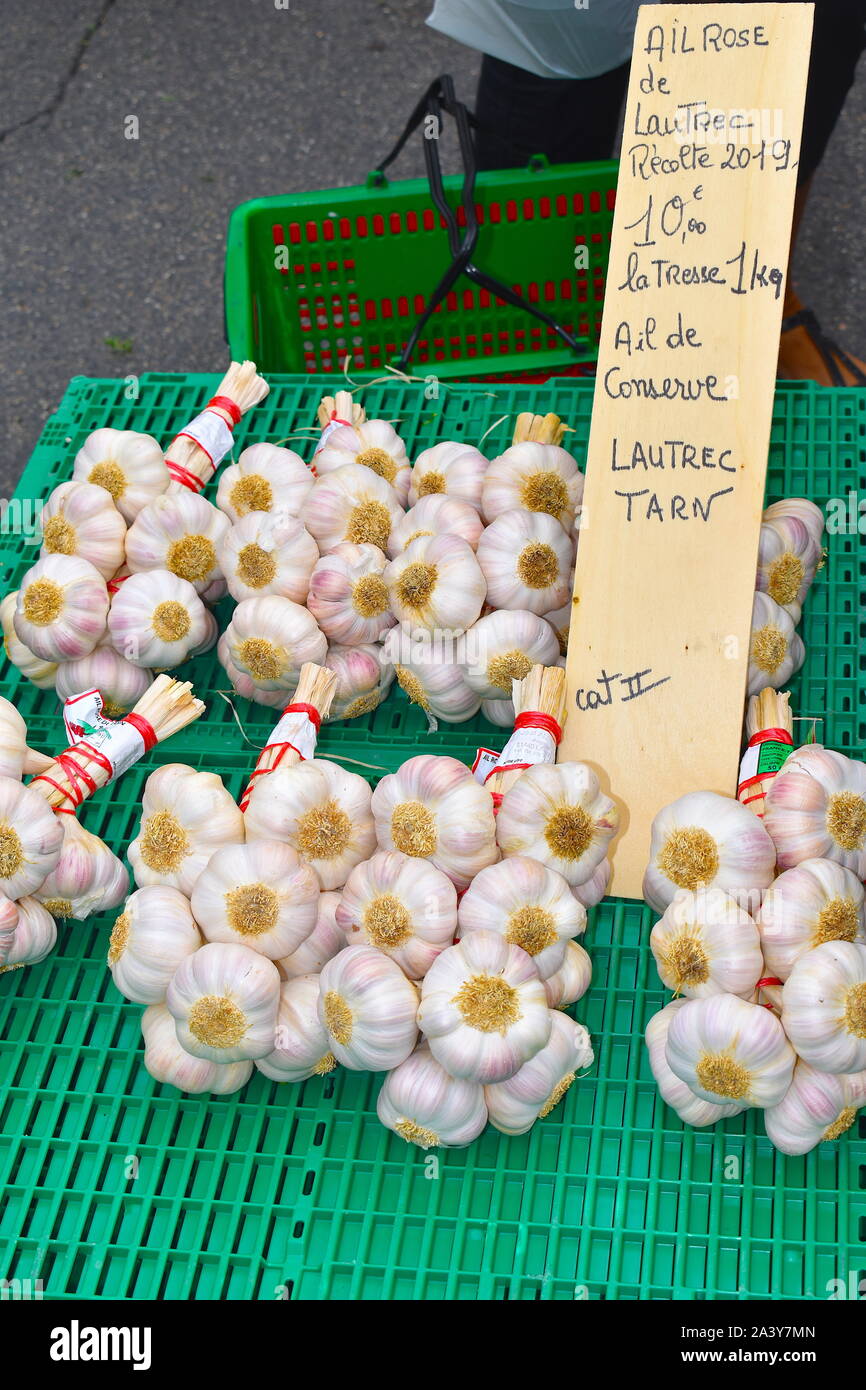 Ail bio en vente sur le marché local dans les montagnes françaises. Bouquet de bonne taille disponible de bulbes d'acheter directement à l'agriculteur. Banque D'Images