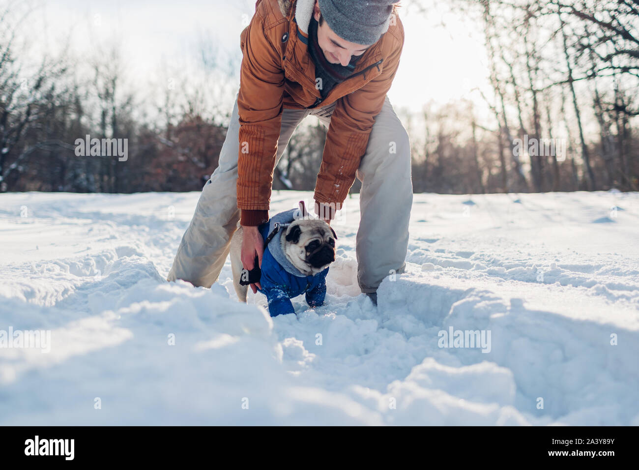 Le PUG dog walking sur la neige avec son propriétaire. Homme jouant avec l'animal à l'extérieur Banque D'Images