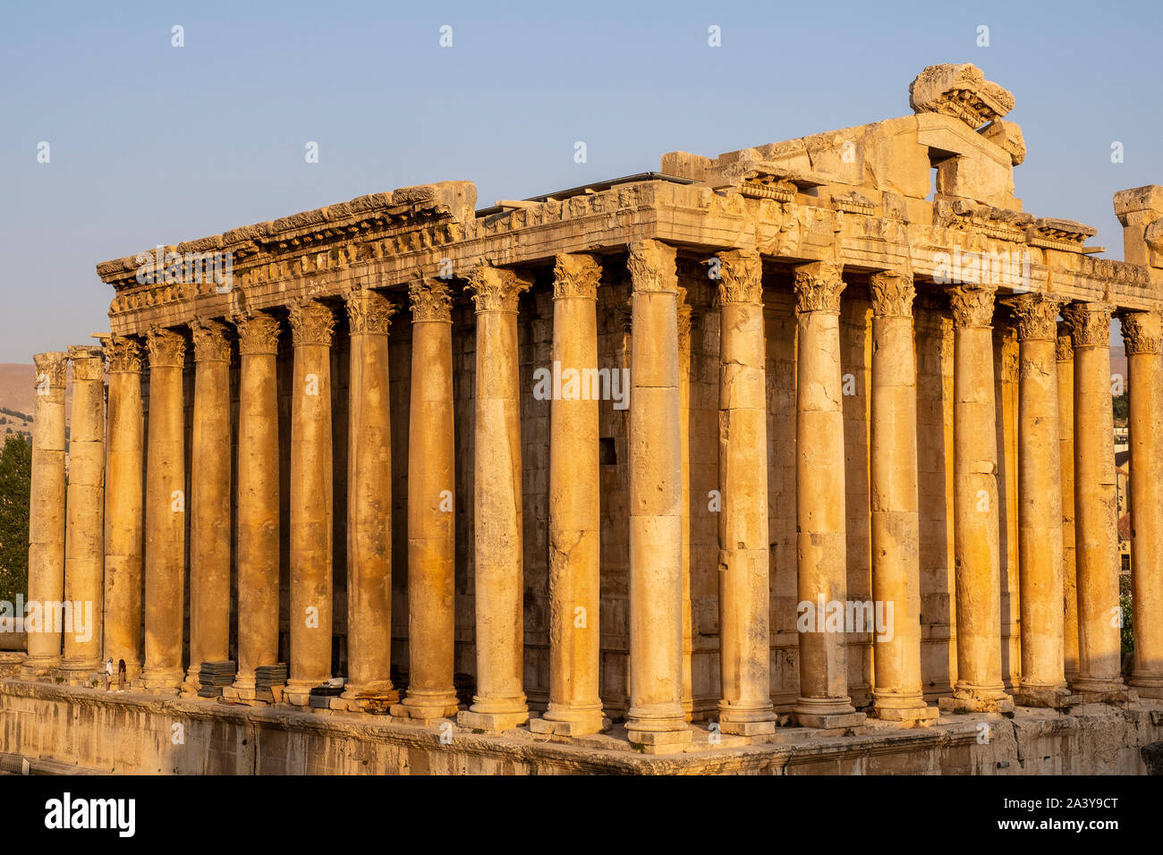 Temple de Bacchus, Baalbeck, vallée de la Bekaa, au Liban Banque D'Images