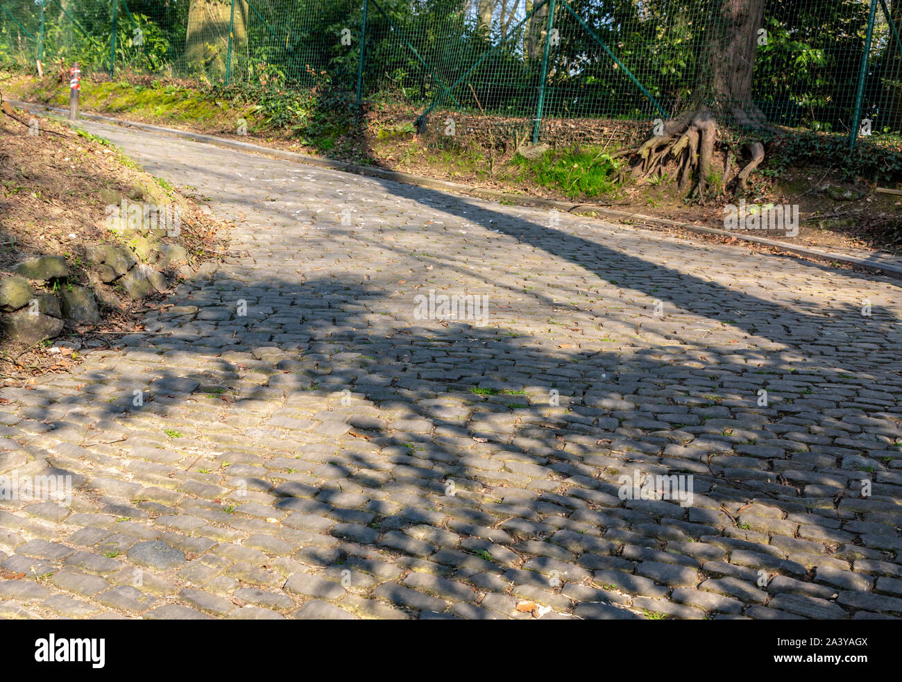 Image de la célèbre route pavée Muur van Geraardsbergen situé en Belgique. Sur cette route chaque année est organisée la célèbre un jour, le cyclisme sur route Banque D'Images