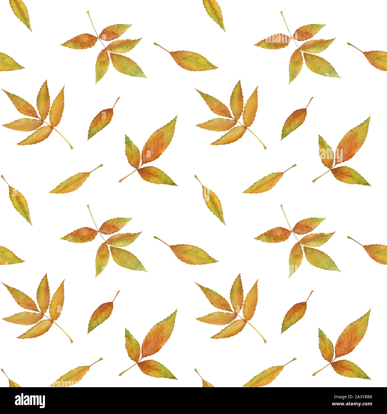 Feuilles d'automne à la main motif transparent Banque D'Images